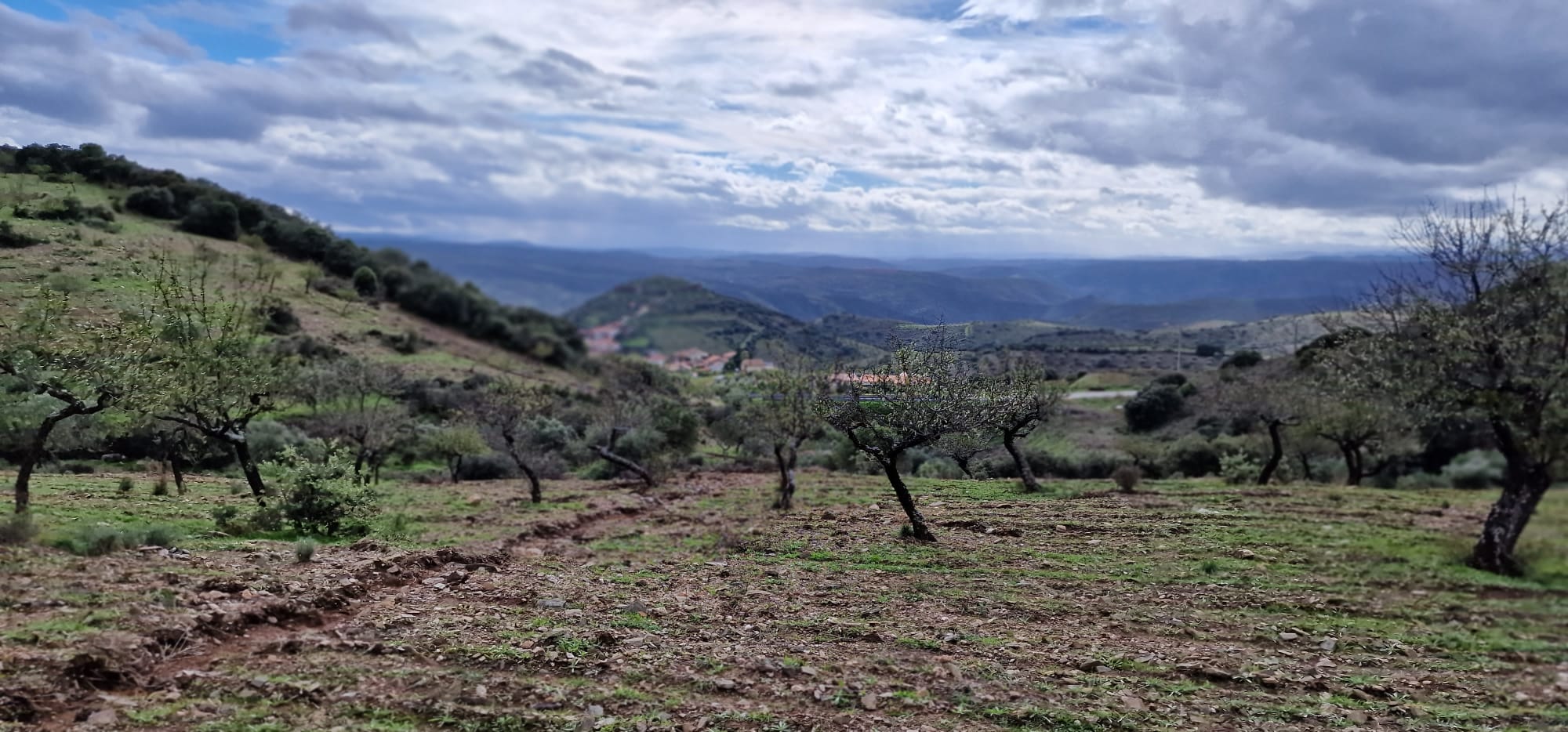 Paisagem e origem do projeto