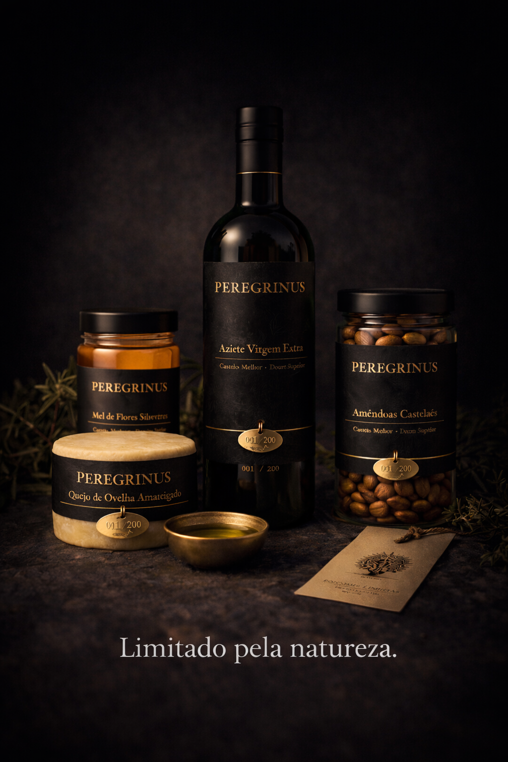 Peregrinus — imagem de conceito